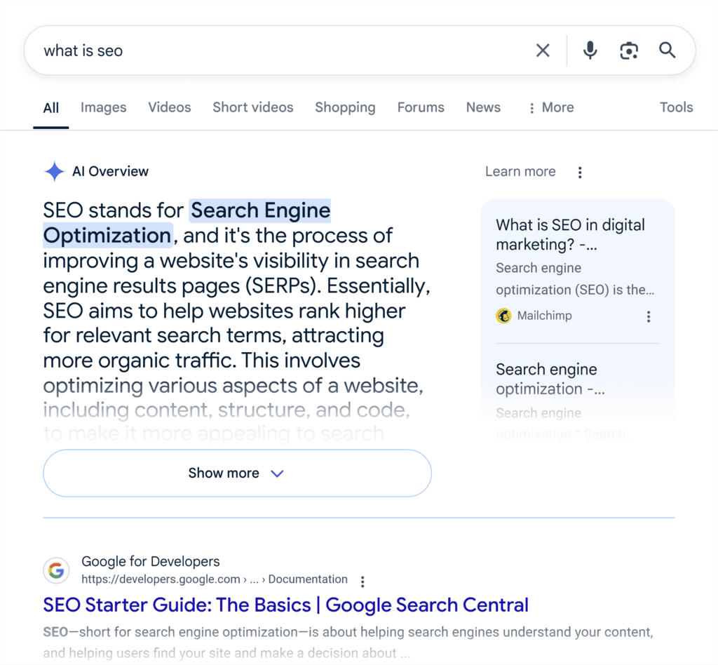 Google SERP – What is SEO – AI Overview